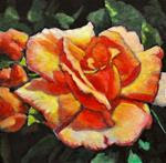 Peach Rose Glows #3 - Posted on Thursday, February 12, 2015 by Eileen Fong