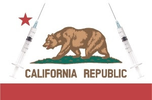 The flag of the USA state of California