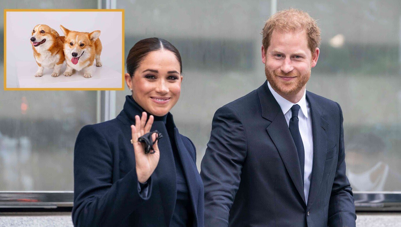 King Charles Replaces Harry & Meghan With Two Corgis In Line Of Succession