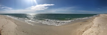 St. George Island by Hannah Buschert