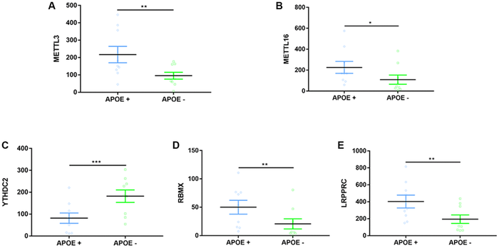 Expression differences on m6A-related regulators between APOE ɛ4+ and APOE ɛ4− groups