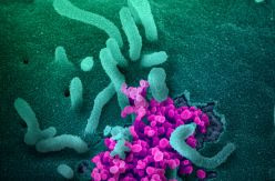 Sanidad adopta "medidas excepcionales" para priorizar los ensayos clínicos que buscan tratamientos contra el coronavirus