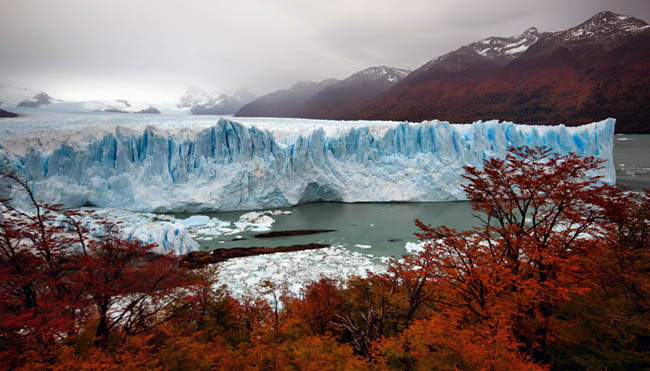 el-calafate