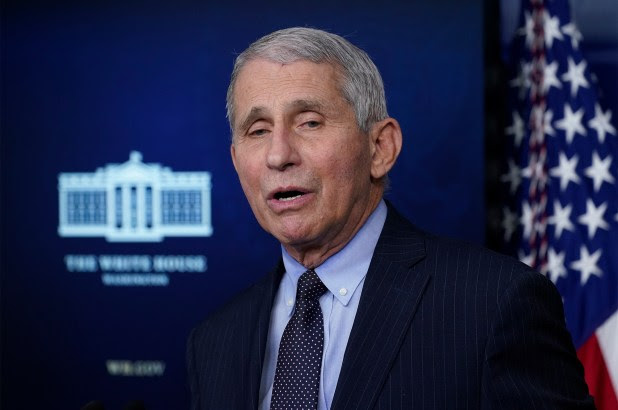 Dr. Anthony Fauci speaking at a press briefing on January 21, 2021.