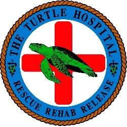 The Turtle Hospital