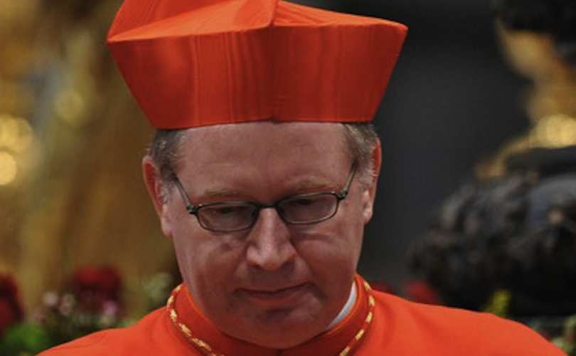 cardinal_willem_eijk1_810_500_55_s_c1