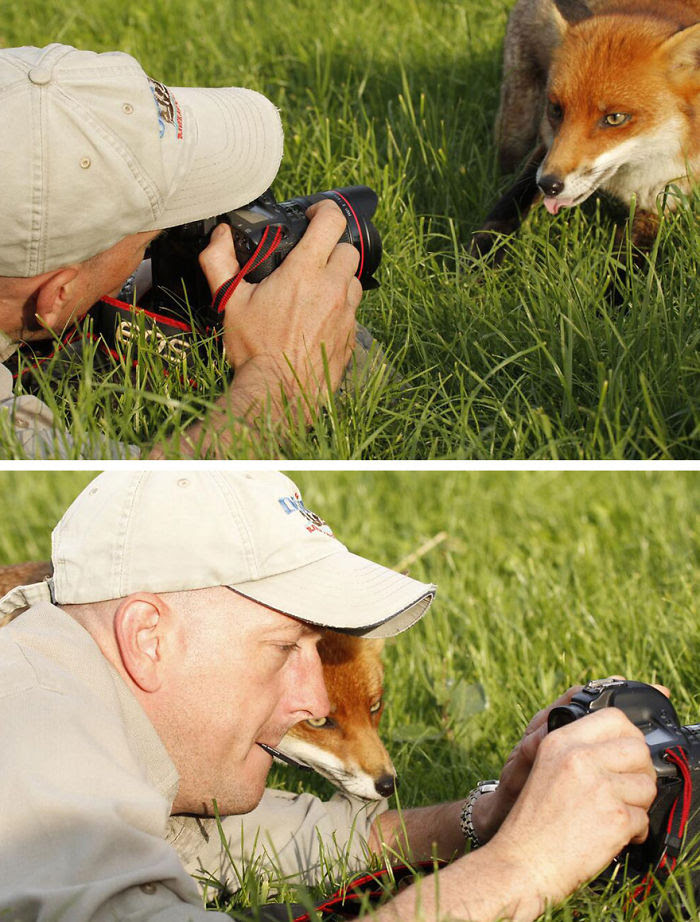 Les photographes animaliers... les animaux sentent leur bienveillance Nature-photographers-35__700