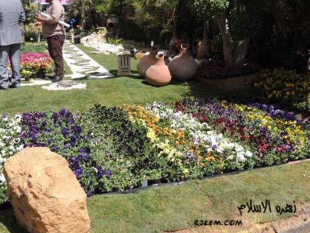 مهرجان الزهور من تصويرى  14010548441