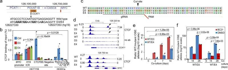 New opportunities for targeting overactive cancer genes