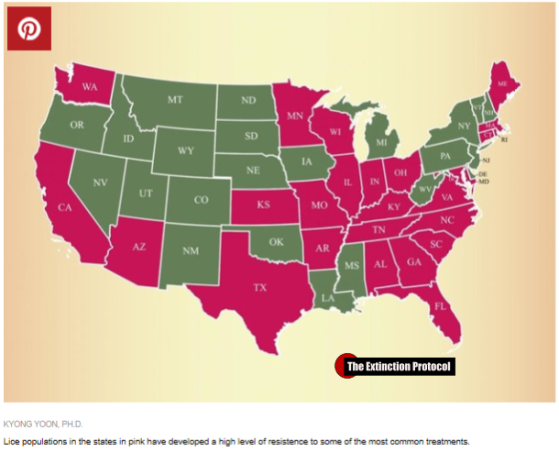 Superbugs: treatment-resistant head lice have now spread to 25 U.S. states Lice