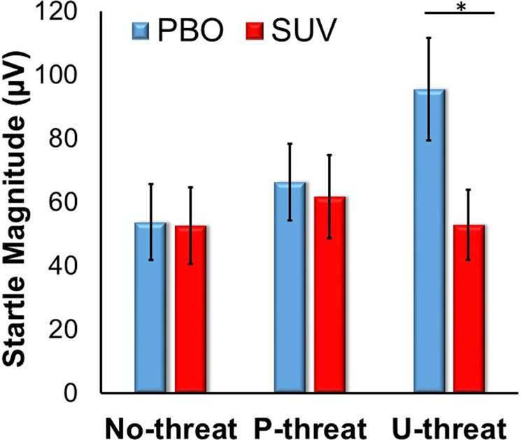 Study suggests strategy for alleviating stress-related anxiety and alcohol use