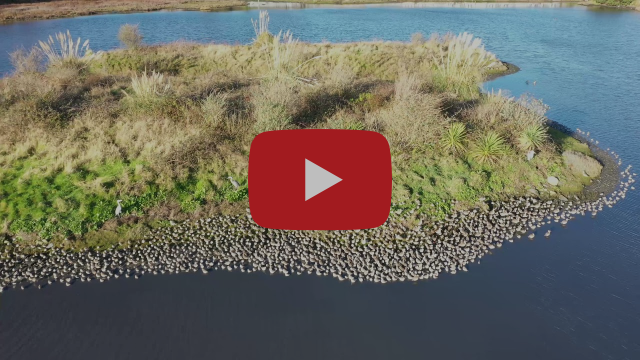 Booterstown Nature Reserve Drone 4