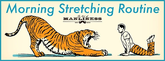 morning stretching routine for energy and strength
