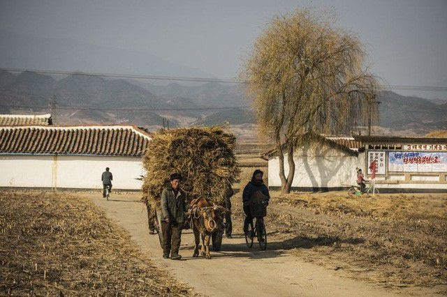 Triều Tiên thừa nhận hạn hán kỷ lục, đối mặt nguy cơ thiếu lương thực - 1
