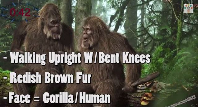 Bigfoot Attacks Scientists In Canada Documentary (Video)