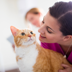5 Surprising Ways to Protect Your Pet