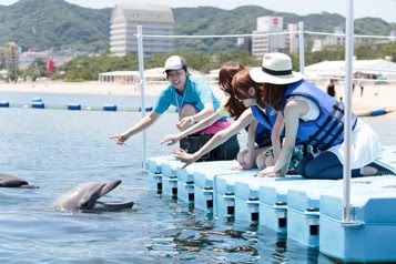 海でのイルカトレーナー体験