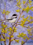 Chickadee in the Forsythia - Posted on Tuesday, March 24, 2015 by Tammie Dickerson