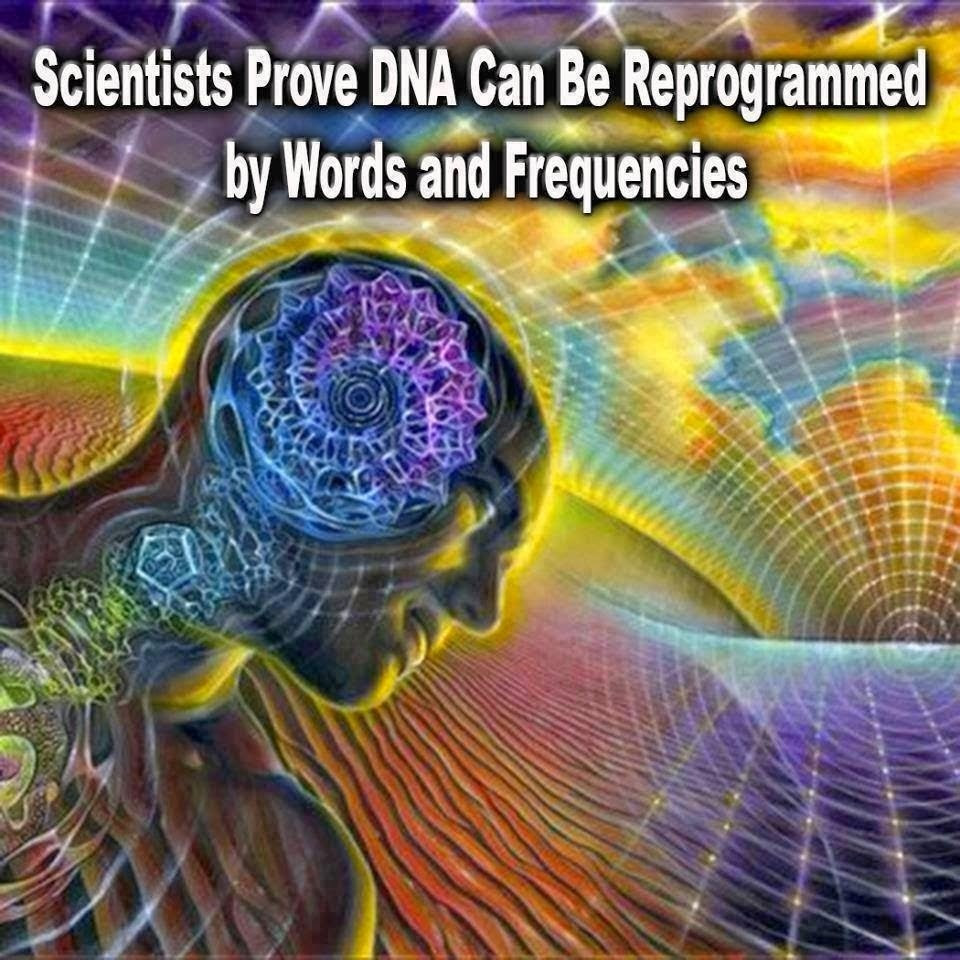 dna-activation