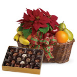 Fruity Poinsettie and Chocolates