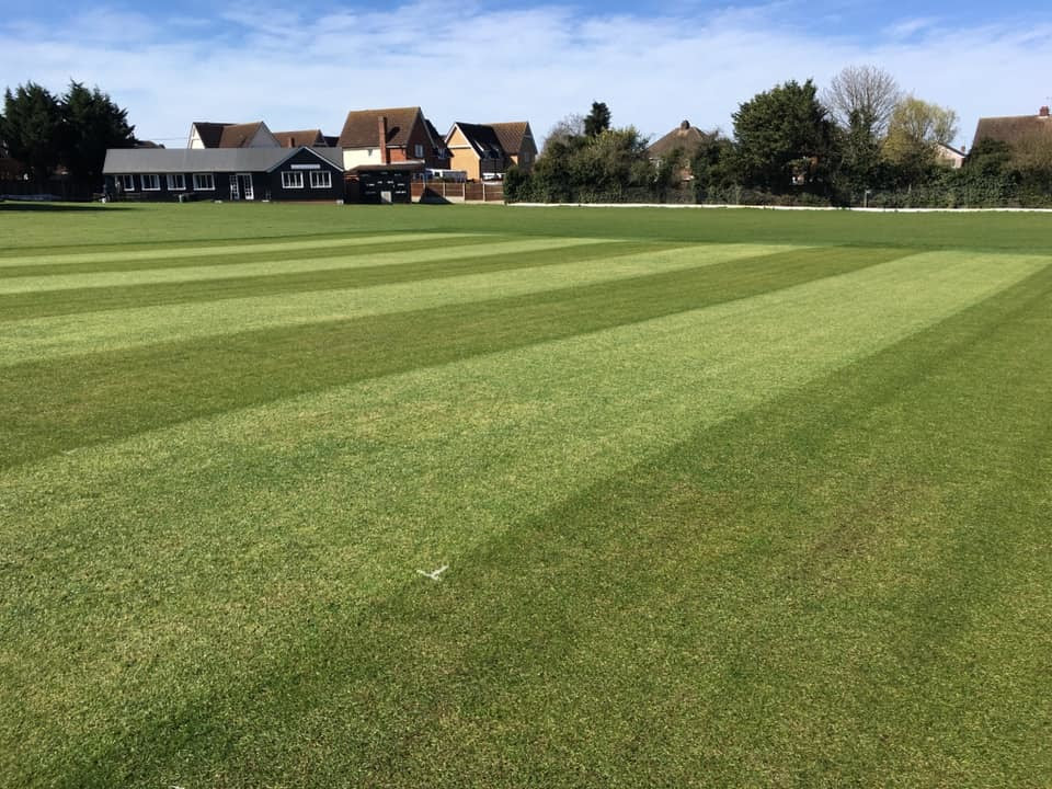 Braintree Cricket Club 