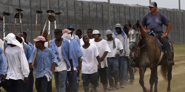 The War on Thugs 1