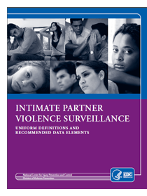Cover of IntimatePartner ViolenceSurveillance