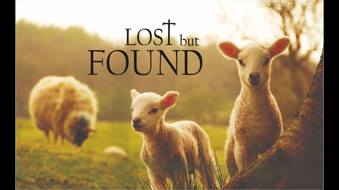 Image result for lost but found photo