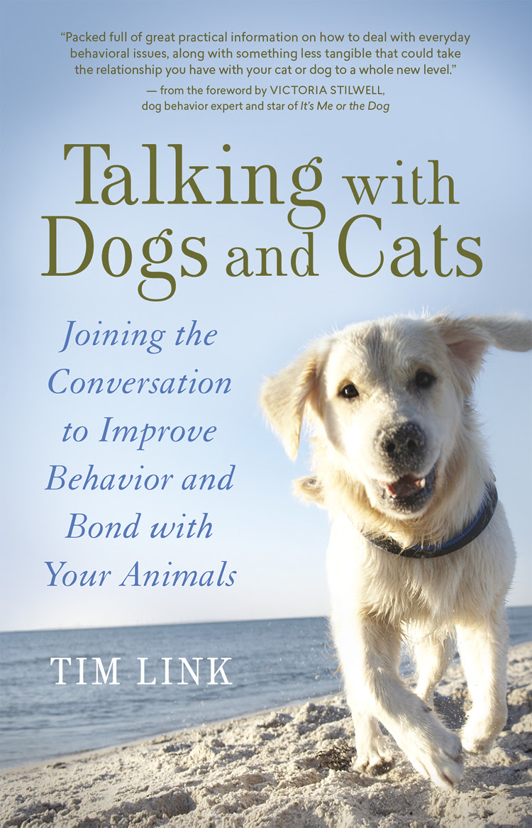 talking with dogs and cats