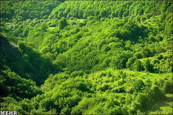 عکس جنگل های ارسباران