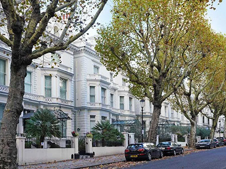 A London road lined with plane trees