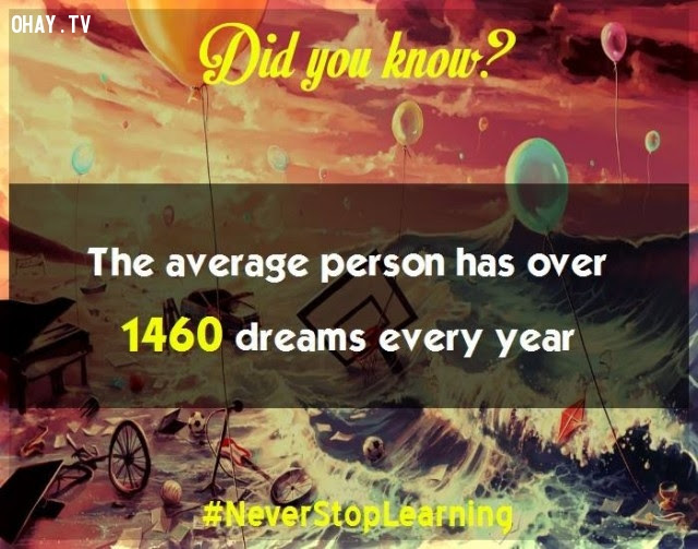 5. Trung bình con người có hơn 1.460 giấc mộng mỗi năm. ,sự thật thú vị,những điều thú vị trong cuộc sống,khám phá,sự thật đáng kinh ngạc,có thể bạn chưa biết