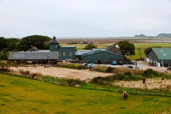 Kilchoman distillery