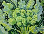 Vegetable broccoli - Posted on Thursday, February 19, 2015 by Linda Blondheim