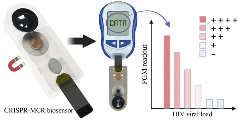 Researcher develops simple, affordable HIV testing device