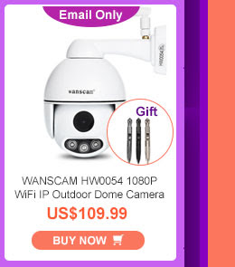 WANSCAM HW0054 1080P WiFi IP Outdoor Dome Camera