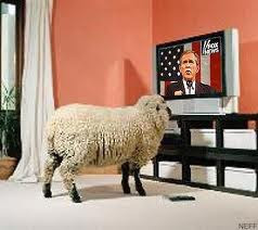 Why Won’t America Fight Back? Television-and-sheep