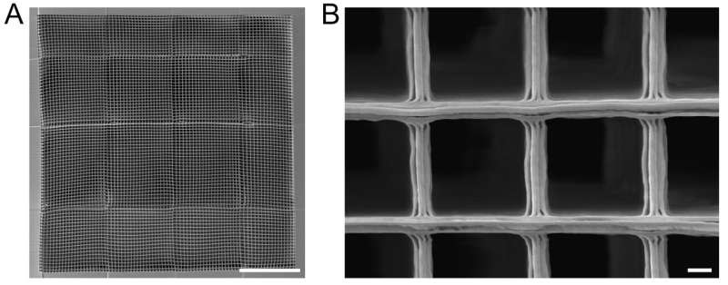 New scaffold design improves growth of regenerating neurons