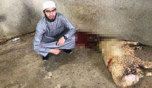 Australia: Muslim who plotted jihad massacres at Sydney landmarks was part of deradicalization program