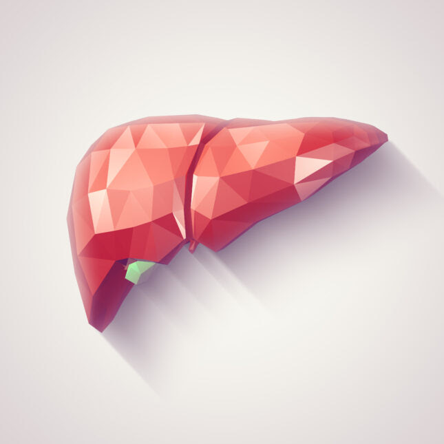 a liver made up by geometric shapes – health coverage from STAT