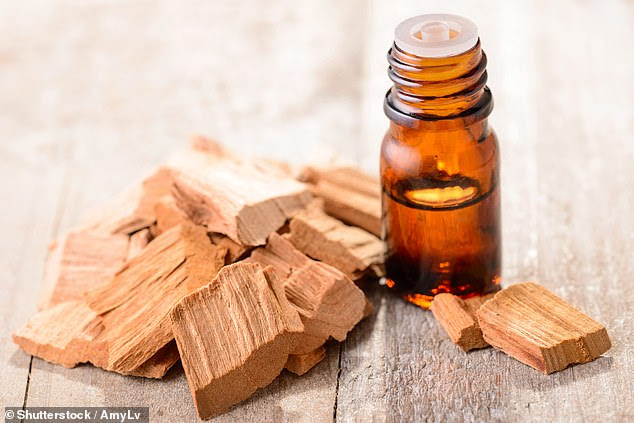 Men who are going bald may benefit from rubbing sandalwood oil onto their scalps (stock)