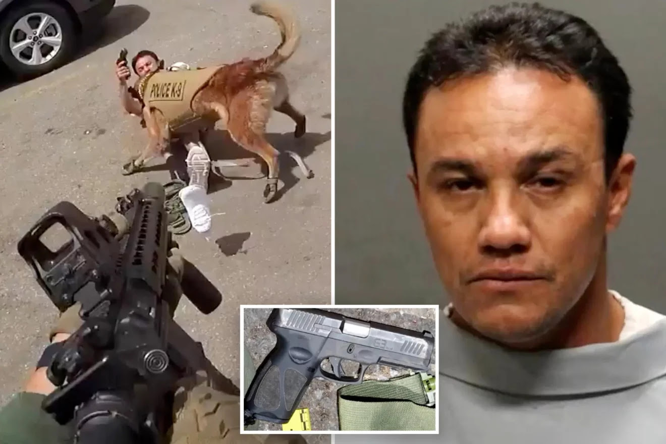 بالفيديو: مطلوب أمني يصوب مسدسه نحو كلب بوليسي فقتلته الشرطة الأمريكية