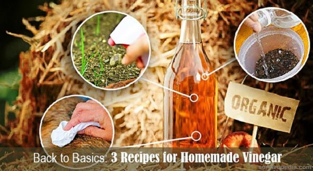 Back to Basics: How to Make Vinegar at Home