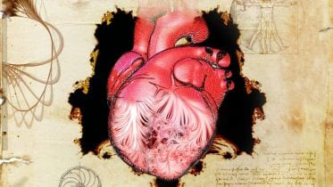 Da Vinci's Heart