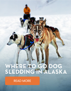 WHERE TO GO DOG SLEDDING IN ALASKA