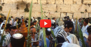 sukkot-every-nation-email