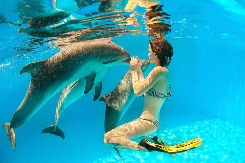 Swimming with the dolphins is something you'll never forget.