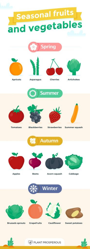 list of seasonal fruits and vegetables graphic for spring, summer, fall and winter