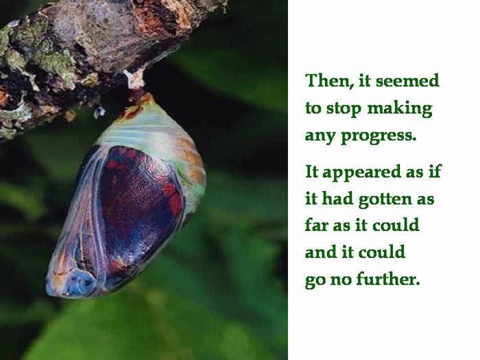 utterfly
inspiring
story