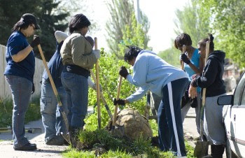A group of black women plant a tree on a neighborhood curb.